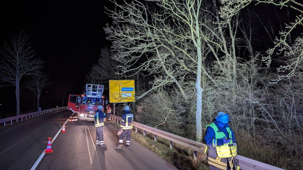 2023 12 30 Baum auf B65 Wünsche1