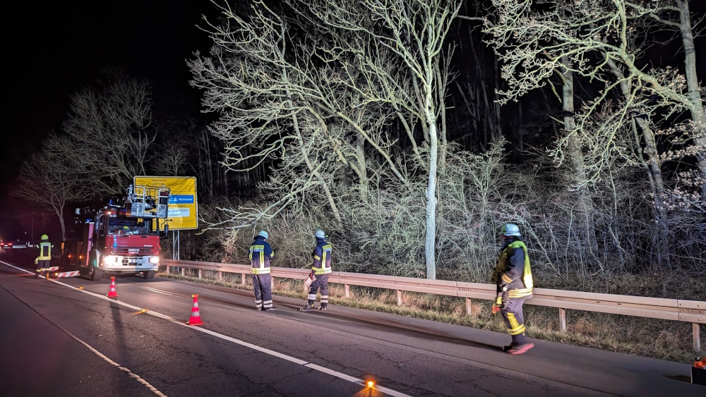 2023 12 30 Baum auf B65 Wünsche2