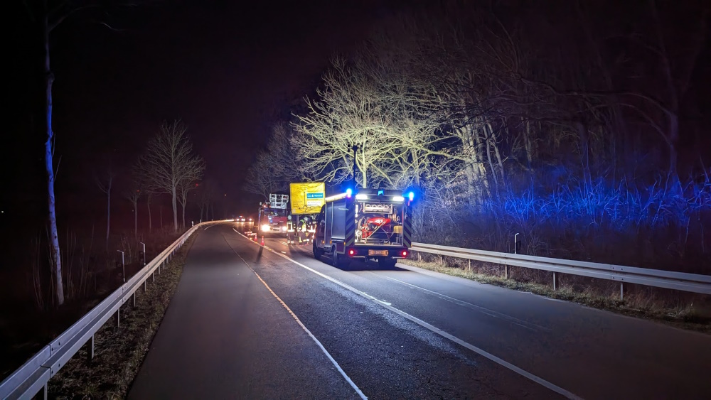 2023 12 30 Baum auf B65 Wünsche3